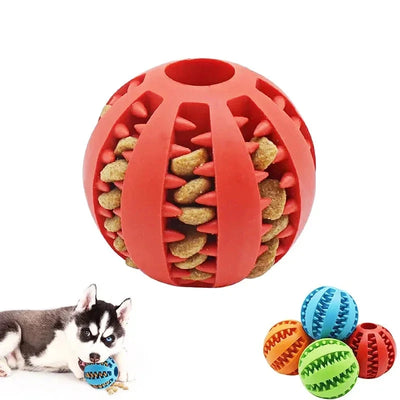 Dog Ball Feeder