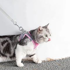 Cat Harness Leash