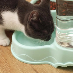 Automatic Pet Feeder